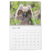 Vogels van Prey 2026 Kalender (Jan 2027)