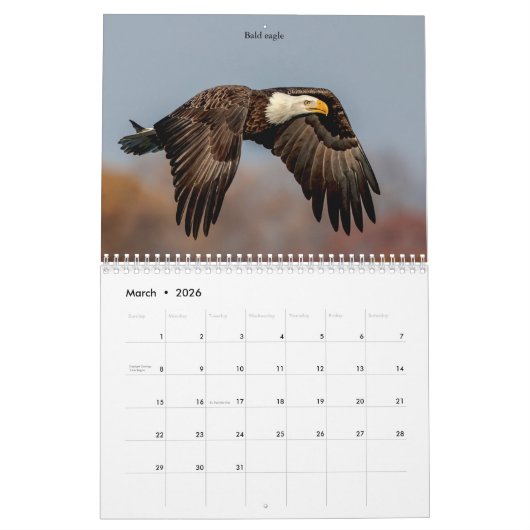Vogels van Prey 2026 Kalender (Mar 2026)