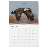 Vogels van Prey 2026 Kalender (Mar 2027)