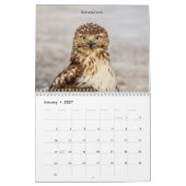 Vogels van Prey 2026 Kalender (Jan 2027)