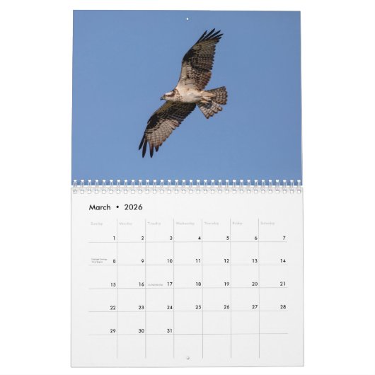 Vogels van Prey 2026 Kalender (Mar 2026)