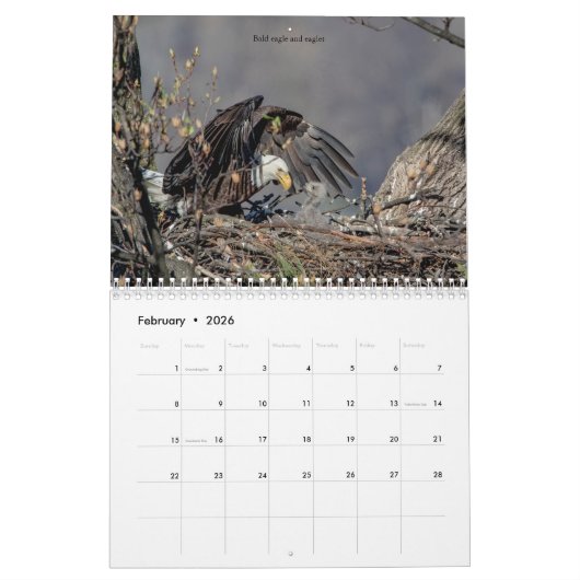 Vogels van Prey 2026 Kalender (Feb 2026)