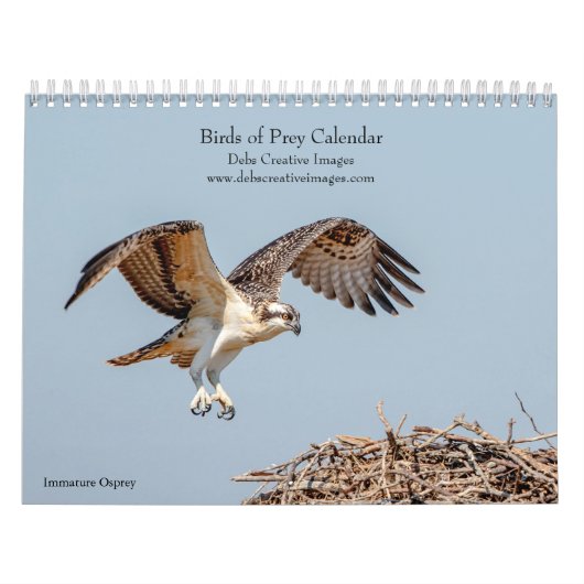 Vogels van Prey 2026 Kalender (Hoes)