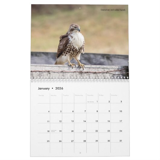 Vogels van Prey 2026 Kalender (Jan 2026)