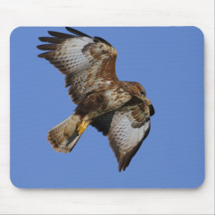 Vogels van Prey Mousemats Muismat