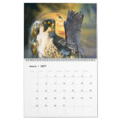 vogels van proy 2 Art Calendar Kalender (Mar 2027)