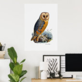 vogels van proy ~ Barn Owl Poster (Thuiskantoor)