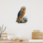 vogels van proy ~ Barn Owl Poster (Keuken)