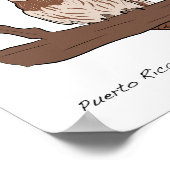 Vogels van Puerto Rico Poster (Hoek)
