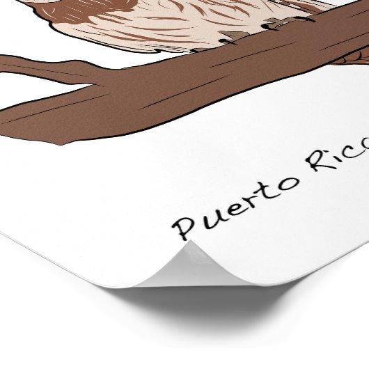 Vogels van Puerto Rico Poster (Hoek)