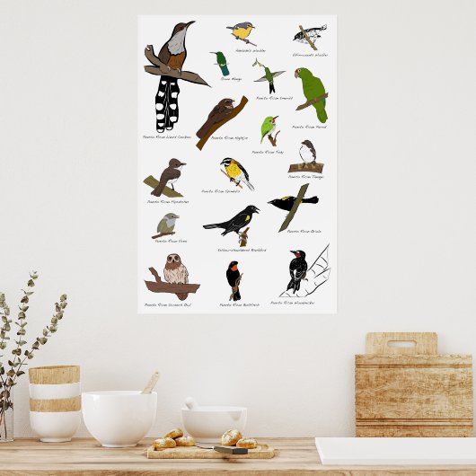 Vogels van Puerto Rico Poster (Keuken)