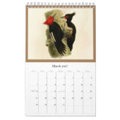 Vogels van Tierra Del Fuego Kalender (Mar 2027)
