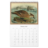 Vogels van Tierra Del Fuego Kalender (Jan 2027)