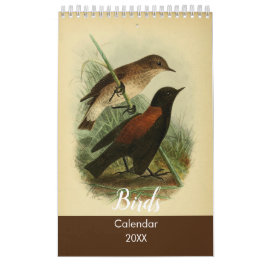 Vogels van Tierra Del Fuego Kalender