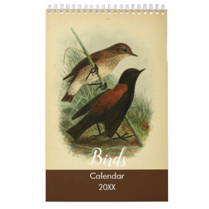 Vogels van Tierra Del Fuego Kalender