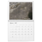 Vogels van Zuid-Alaska en Canada kalender (Feb 2027)
