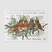 Vogels verlaten  Franse naamsbekendheid Tissuepapier (Voorkant)