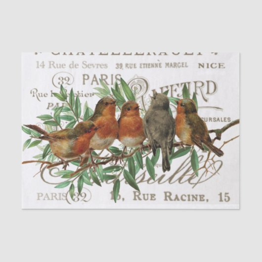 Vogels verlaten  Franse naamsbekendheid Tissuepapier (Voorkant)