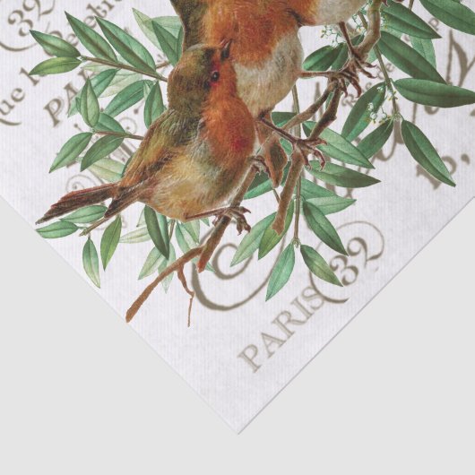 Vogels verlaten  Franse naamsbekendheid Tissuepapier (Detail)