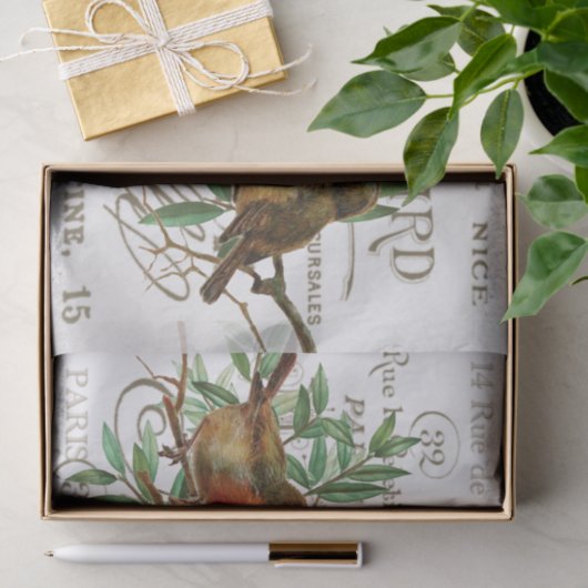 Vogels verlaten  Franse naamsbekendheid Tissuepapier (Geschenk)