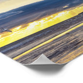 Vogels verzamelen op een strand van Florida op zon Poster (Hoek)