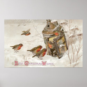 Vogels vinden de plank van de Lantern Vintage Kers Poster