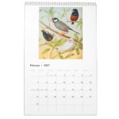  vogels - vinken en wevers 2026 kalender (Feb 2027)