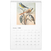 vogels - vinken en wevers 2026 kalender (Jan 2026)