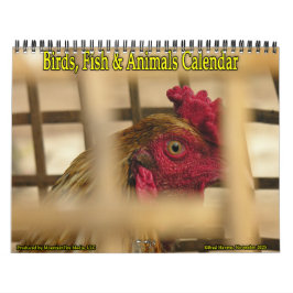 Vogels, Vissen & Andere Exotische Dieren Kalender