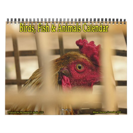 Vogels, Vissen & Andere Exotische Dieren Kalender (Hoes)