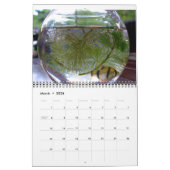 Vogels, Vissen & Andere Exotische Dieren Kalender (Mar 2026)