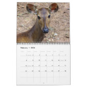 Vogels, Vissen & Andere Exotische Dieren Kalender (Feb 2026)