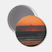 Vogels vliegen boven de zonsondergang van de oceaa magneet (Voorkant / Achterkant)