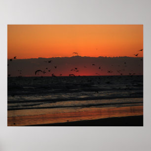 Vogels vliegen boven de zonsopgang van de oceaan poster
