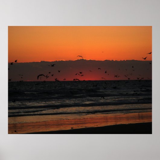 Vogels vliegen boven de zonsopgang van de oceaan poster (Voorkant)