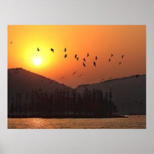 Vogels vliegen in de zonsondergangslucht boven Oos Poster