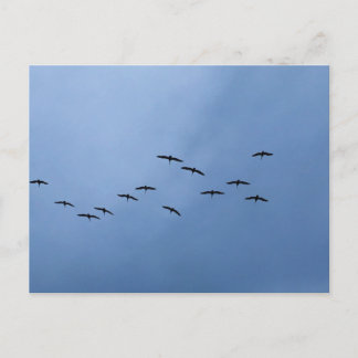 Vogels vliegen in V-formatie Natuurfotografie Briefkaart