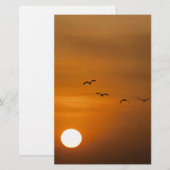Vogels vliegen in zonsondergang briefpapier (Voorkant / Achterkant)