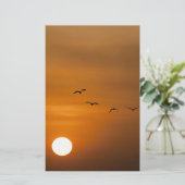 Vogels vliegen in zonsondergang briefpapier (Staand voorkant)