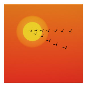 Vogels vliegen naar de zon perfect poster