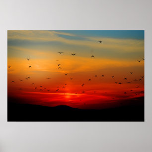 Vogels vliegen op zonsondergang, foto van foto's o poster