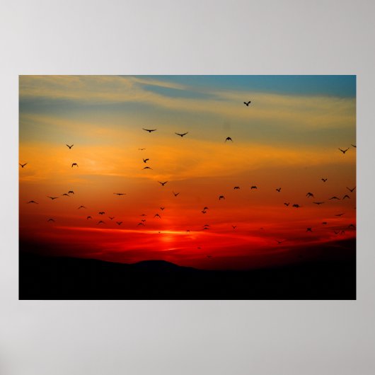 Vogels vliegen op zonsondergang, foto van foto's o poster (Voorkant)