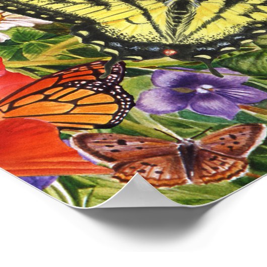 Vogels, vlinders en bijen poster (Hoek)