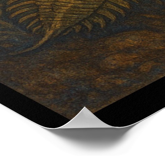 Vogels, vlinders en het oude leven in de oceaan poster (Hoek)