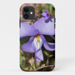 Vogels-Voetbal Violet w/Bluets Case-Mate iPhone Case
