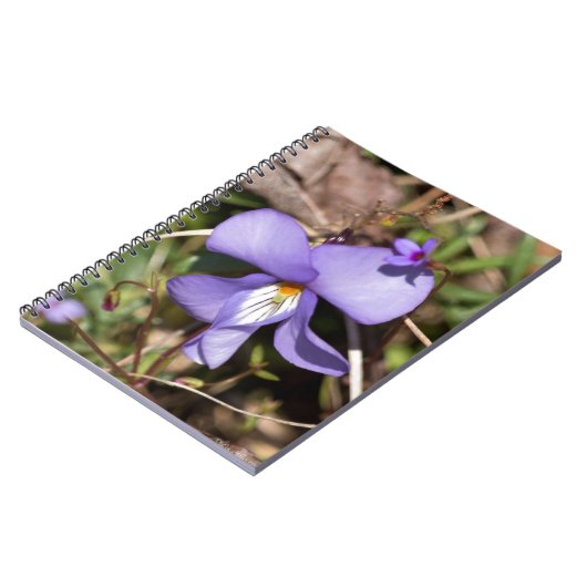 Vogels-Voetbal Violet w/Bluets Notitieboek (Linkerzijde)