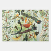  vogels Voorbeeld van oude boeken Kunstdieren Inpakpapier Vel (Voorkant 2)