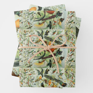 vogels Voorbeeld van oude boeken Kunstdieren Inpakpapier Vel