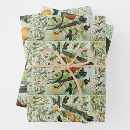  vogels Voorbeeld van oude boeken Kunstdieren Inpakpapier Vel (In situ)