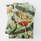 vogels Voorbeeld van oude boeken Kunstdieren Inpakpapier Vel (In situ)